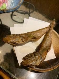 魚々楽