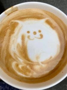 バロンデッセ