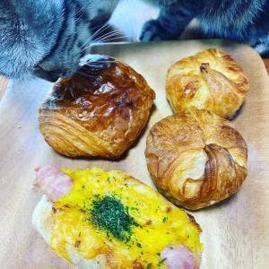 Boulangerie Ca depend