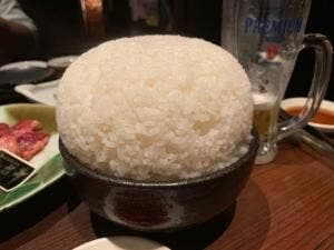 豚海