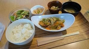 小石川テラス