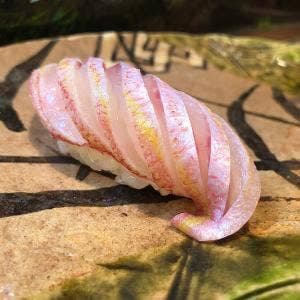 あやめずし