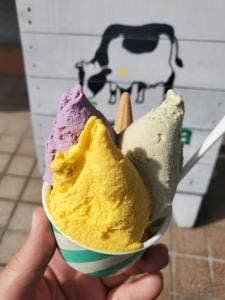 ジェラテリア ズッカ