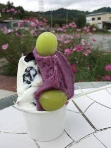 ソルベッチdoうきは