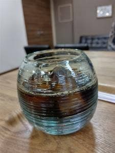 HATOPOのぽてと