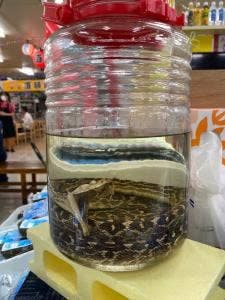 くに鮮魚