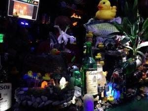 夜光虫