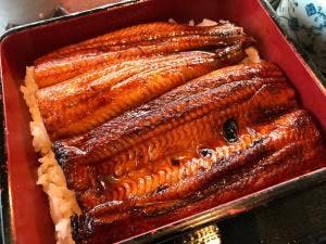 食の蔵