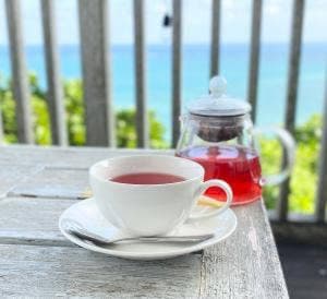 Cafeやぶさち