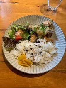 お茶の間キッチン カブトムシ