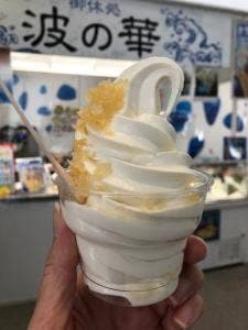 鶴岡市立加茂水族館 波の華