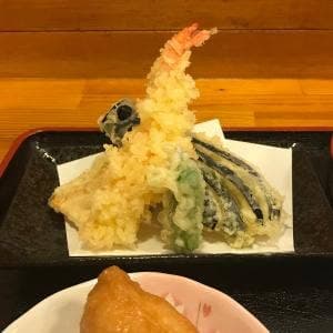 へぎそば居酒屋 猫坊主