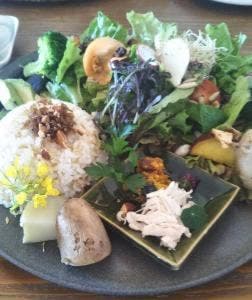 オーガニック カフェ アージョ