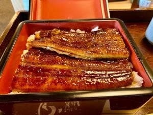 藤崎屋