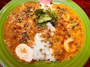 SPICE JUNKY