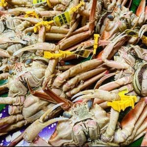 お食事処うおいち