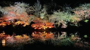 御船山楽園 茶屋バー