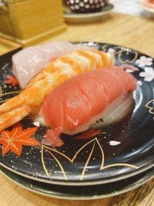 海転寿司 魚海岸 丸忠 バロー羽島インター店