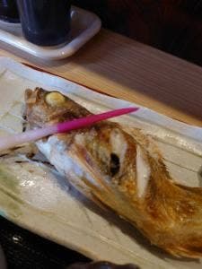 いさりび菊や