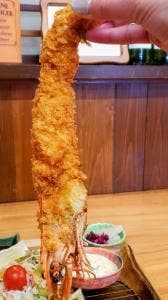 アンスリール