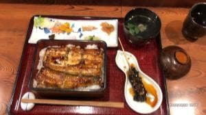 うな菊