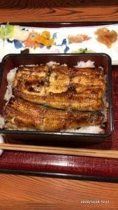 うな菊