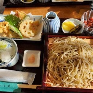 早蕨