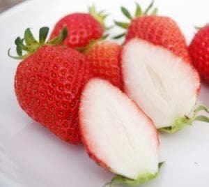 多度グリーンファーム