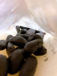 京・甘納豆処 斗六屋
