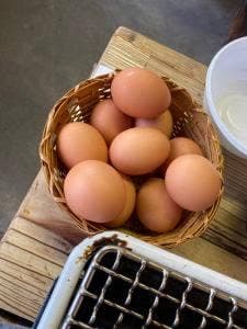 コケコッコー共和国 山の駅よって亭