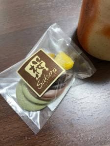 Sakura CHOCOLATE