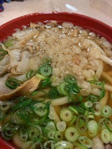 かすうどん 大福