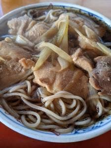 坪井更科