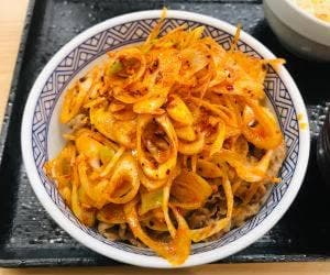 吉野家 4号線一関店