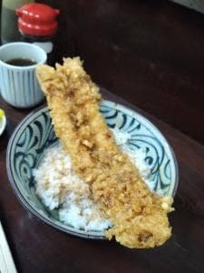 木村家