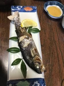 出の山いこいの家