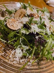 TRATTORIA Timo