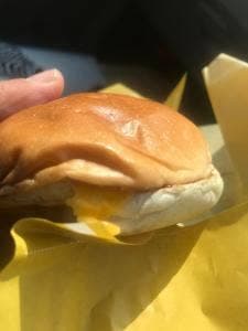 ロッテリア イオンモールとなみ店