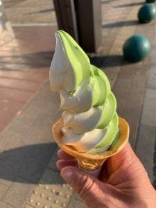 新井園本店 パサール三芳店