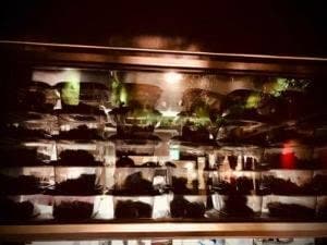 Shisha Lounge Ginza