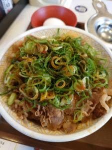 すき家 8号坂井丸岡店