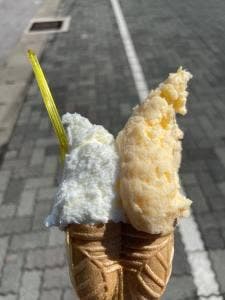 ジェラテリア フルーツ ラボラトリー