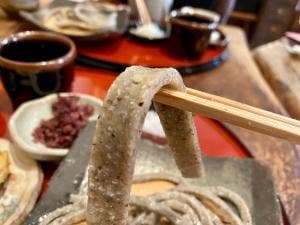 手打ちそば はやし