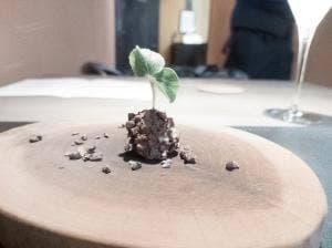 RISTORANTE NARVALO
