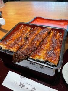 浜松のうなぎ専門店 中ノ庄