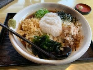 こはるうどん