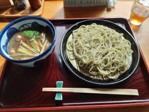 蓬