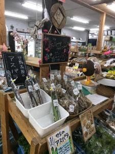 四季園にしおおた