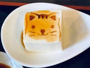 CAT BASE