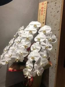 アンナのガレットと焼酎